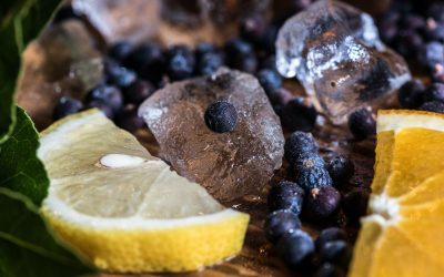 Mastering the Art of Gin Distillation: A Comprehensive Guide for Craft Distillers