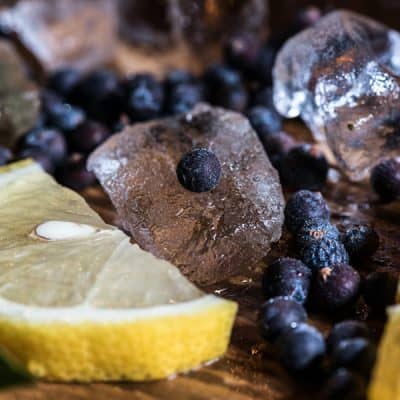 Study Guide - Gin